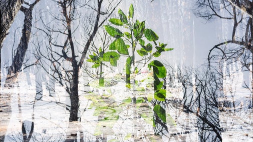 Abstract photo from the Earth Day photo exhibition entitled Consumed Living Spaces by Issam Chorrib La Hepica